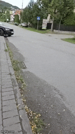 Acid GIFs, May 11 (25 gifs) Acid GIFs, May 11 (25 gifs)