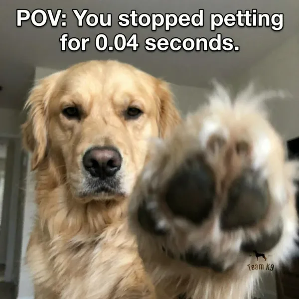 Funny Memes (22 pics)