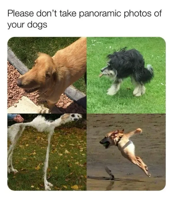 Funny Memes (22 pics)