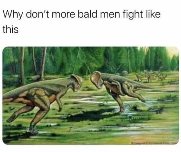 Funny Memes (22 pics)