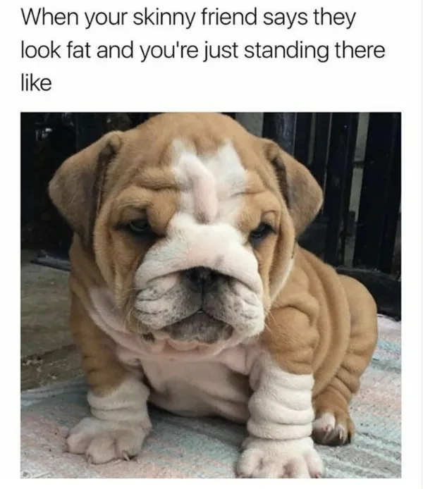 Funny Memes (22 pics)