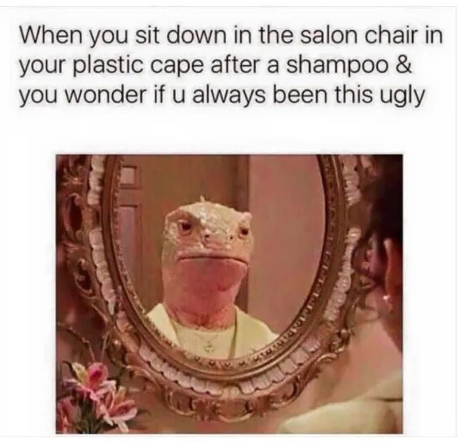 Truthful Memes (17 pics)