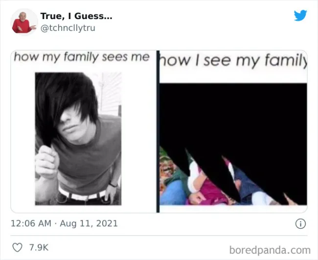Truthful Memes (17 pics)