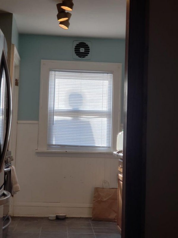 Creepy Photos (15 pics)