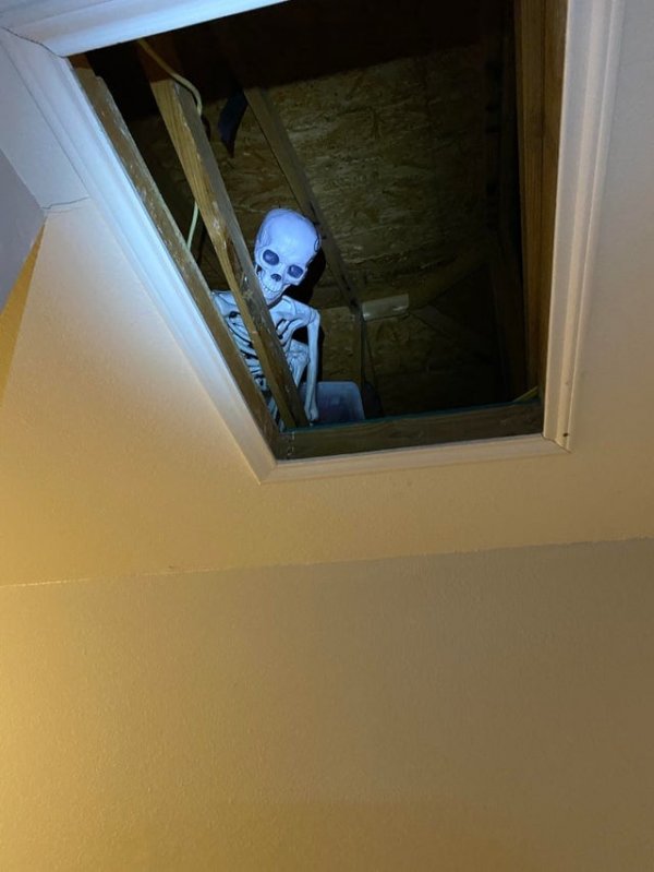 Creepy Photos (15 pics)