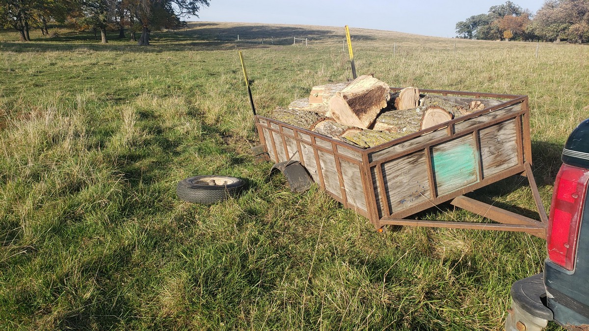 Bad Days Happen (31 pics)