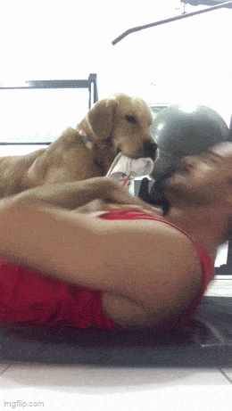 Acid GIFs, May 12 (25 gifs)