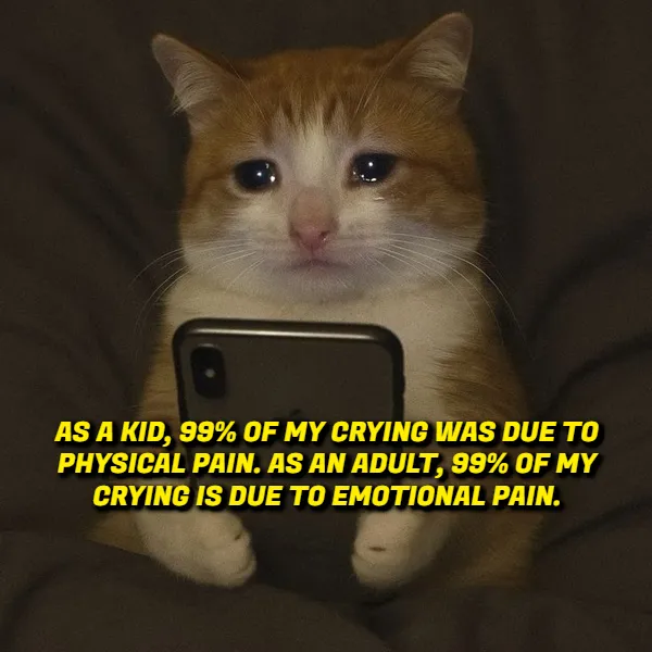 Odd Thoughts (17 pics)
