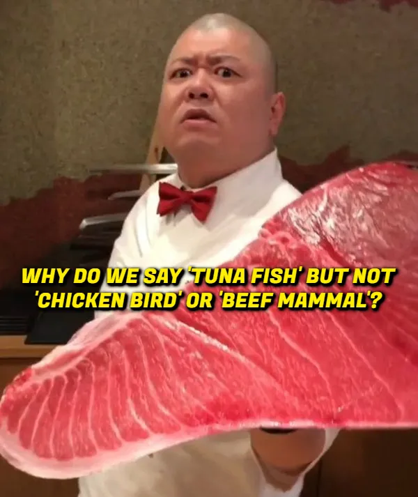 Odd Thoughts (17 pics)