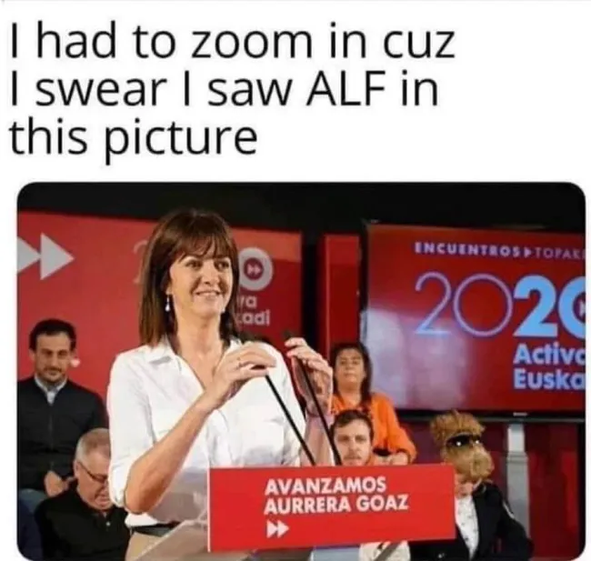 Look Twice (25 pics)