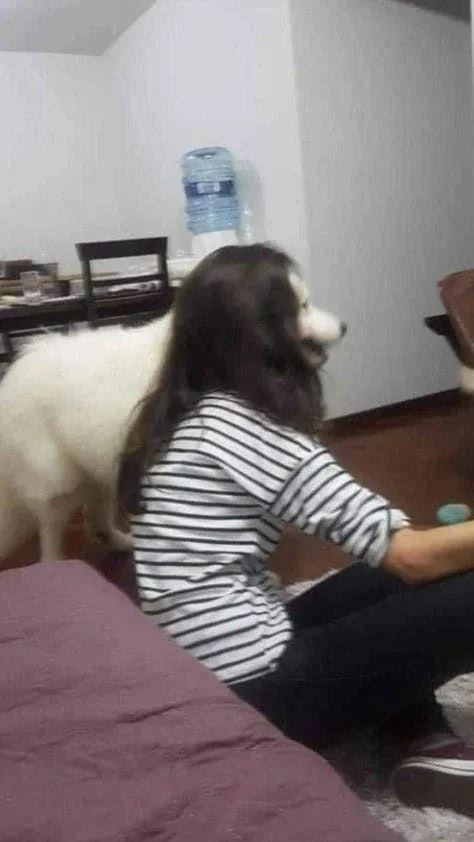 Look Twice (25 pics)