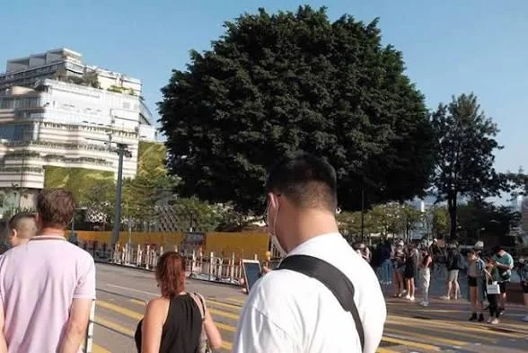 Look Twice (25 pics)