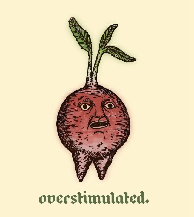 Medieval Memes (21 pics)