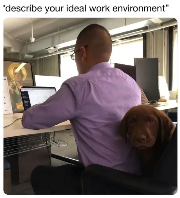 Work Memes (23 pics)