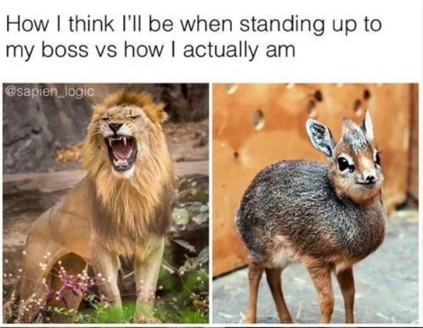 Work Memes (23 pics)