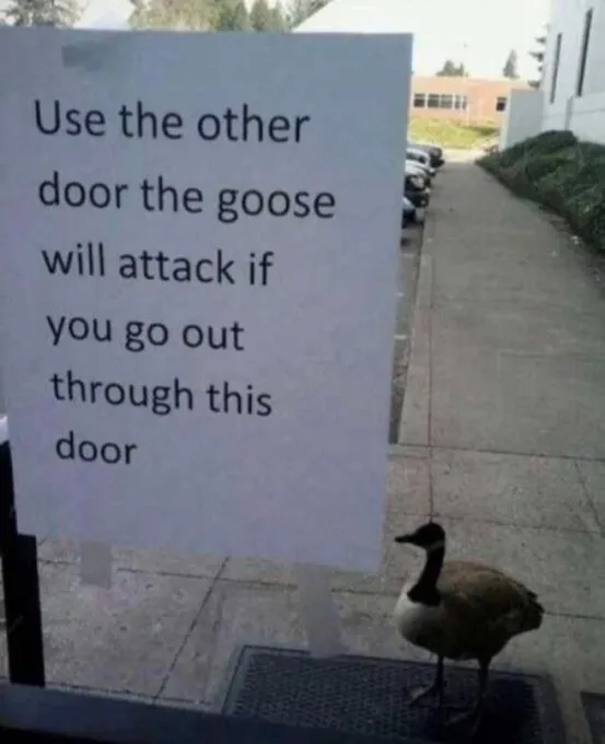 Funny Memes (24 pics)