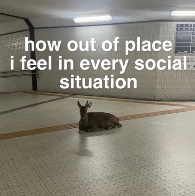 Funny Memes (24 pics)