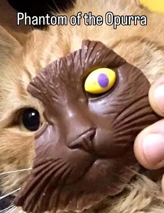 Funny Memes (24 pics)
