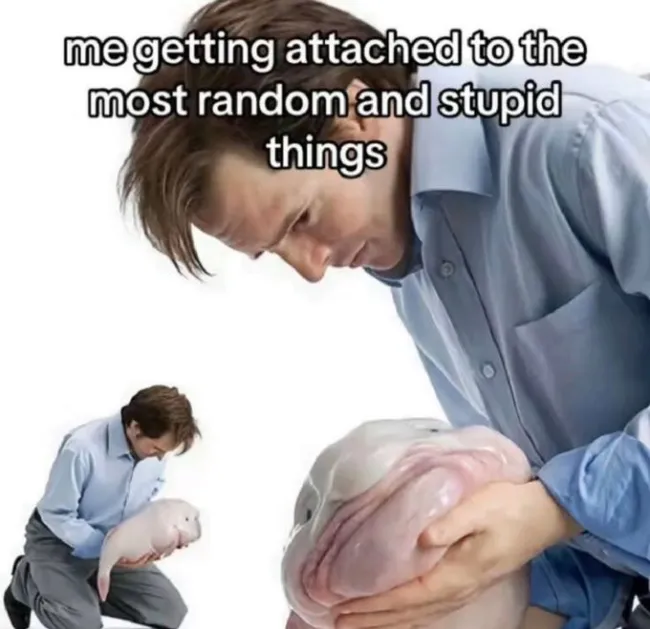 Funny Memes (24 pics)