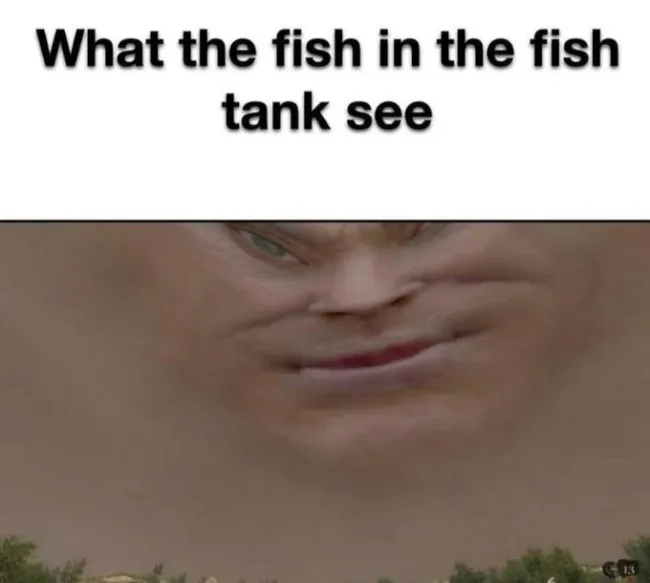 Funny Memes (24 pics)