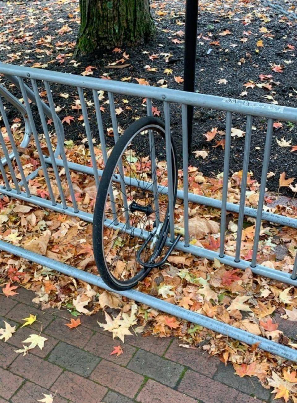Unfortunate Situations (29 pics)
