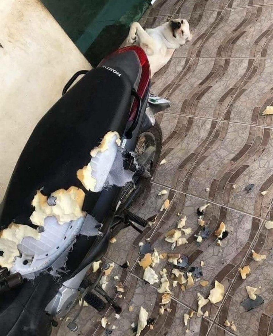 Bad Days Happen (29 pics)