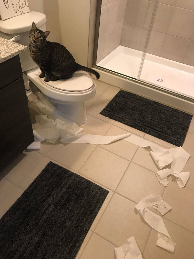 Daily Pictures. Part 1 (77 pics)