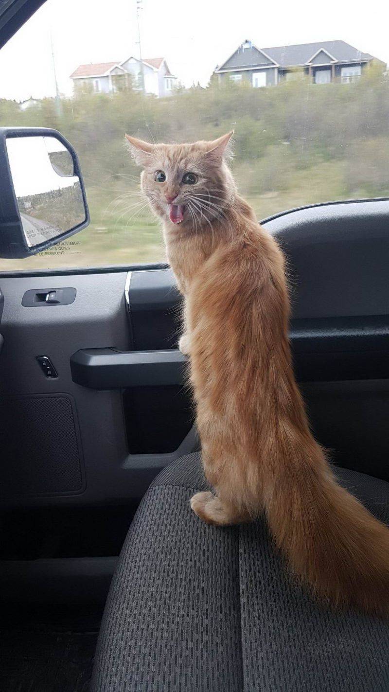 Daily Pictures. Part 1 (77 pics)