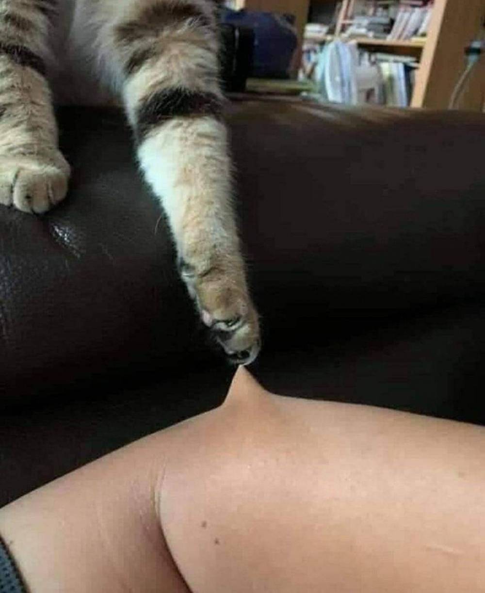 Daily Pictures. Part 1 (77 pics)