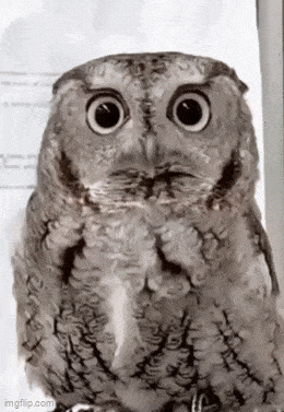 Acid GIFs, May 13 (25 gifs) Acid GIFs, May 13 (25 gifs)