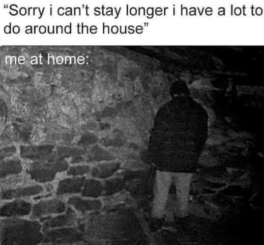 Ironic Memes (23 pics)