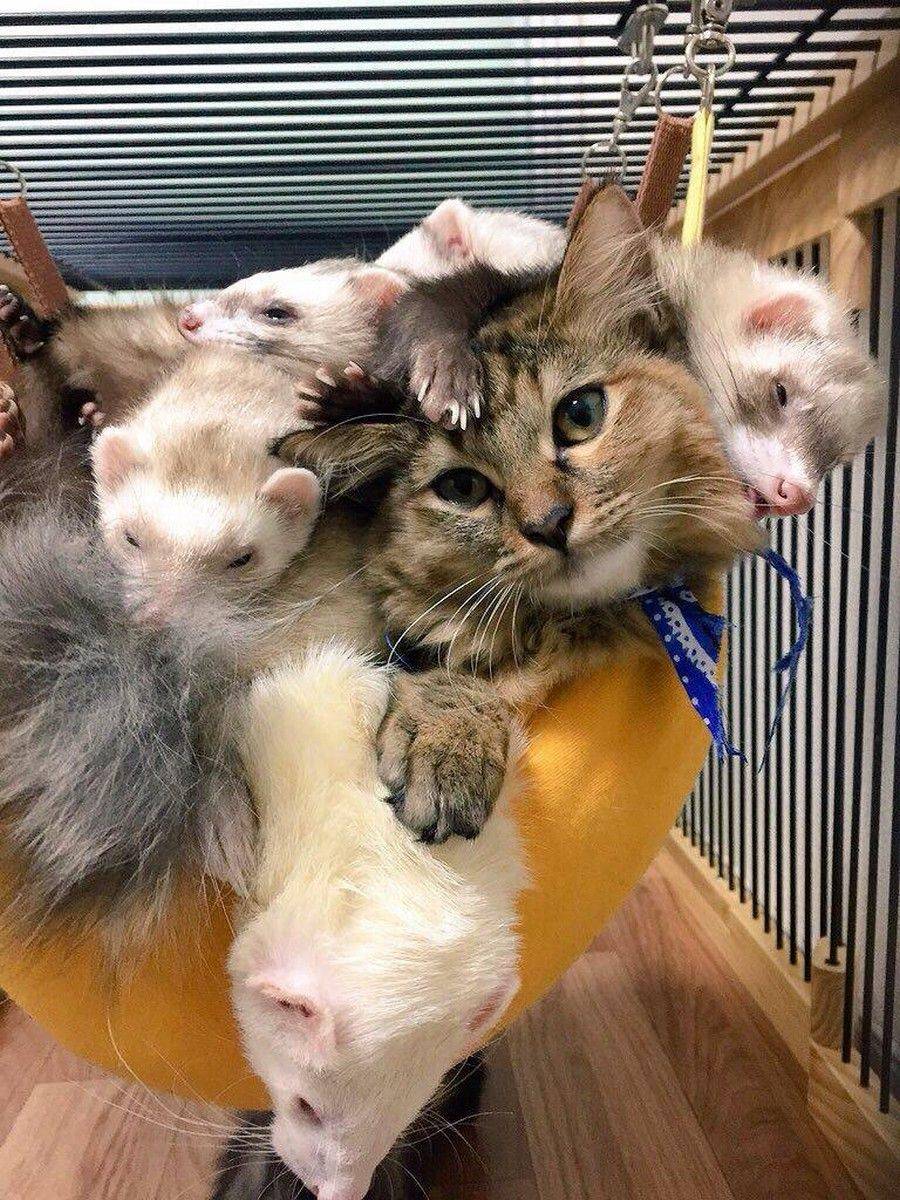 Daily Pictures. Part 1 (75 pics)