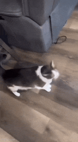 Acid GIFs, May 14 (25 gifs)