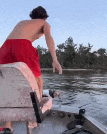 Acid GIFs, May 14 (25 gifs)