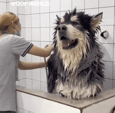 Acid GIFs, May 14 (25 gifs)
