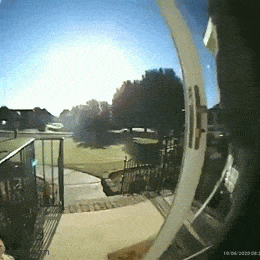 Acid GIFs, May 14 (25 gifs)
