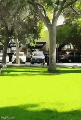 Acid GIFs, May 14 (25 gifs)