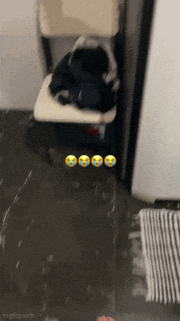 Acid GIFs, May 14 (25 gifs)