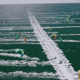 Acid GIFs, May 14 (25 gifs)