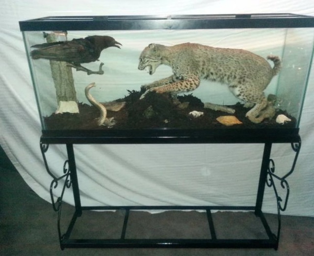 Weird Finds In Thrift Shops (27 pics)