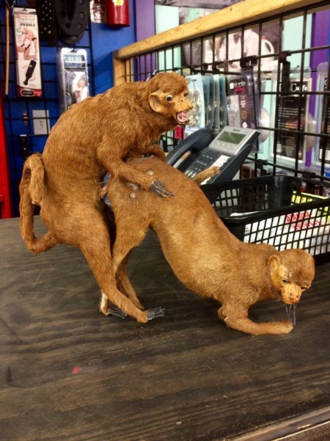 Weird Finds In Thrift Shops (27 pics)