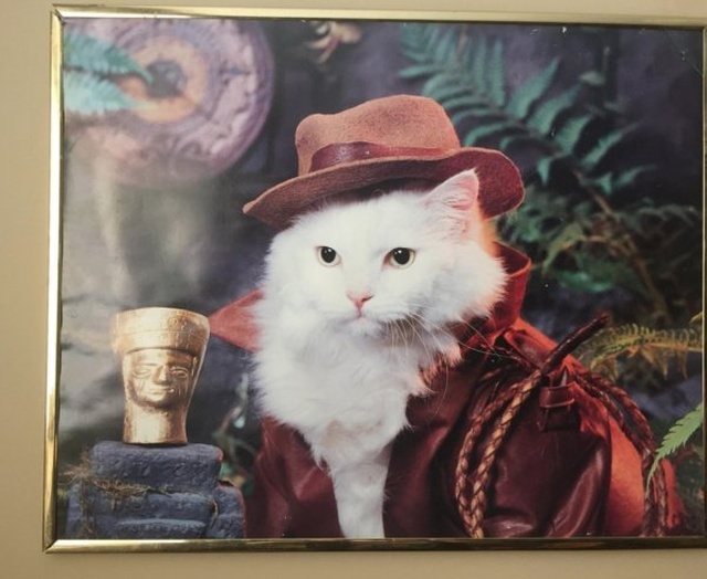 Weird Finds In Thrift Shops (27 pics)