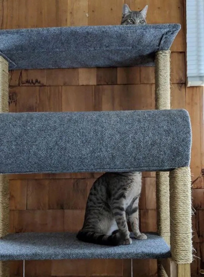 Optical Illusions (22 pics)