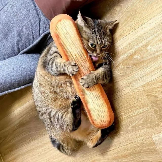 Cute Thieves (17 pics) Cute Thieves (17 pics)