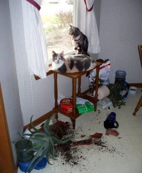 Unfortunate Situations (25 pics)