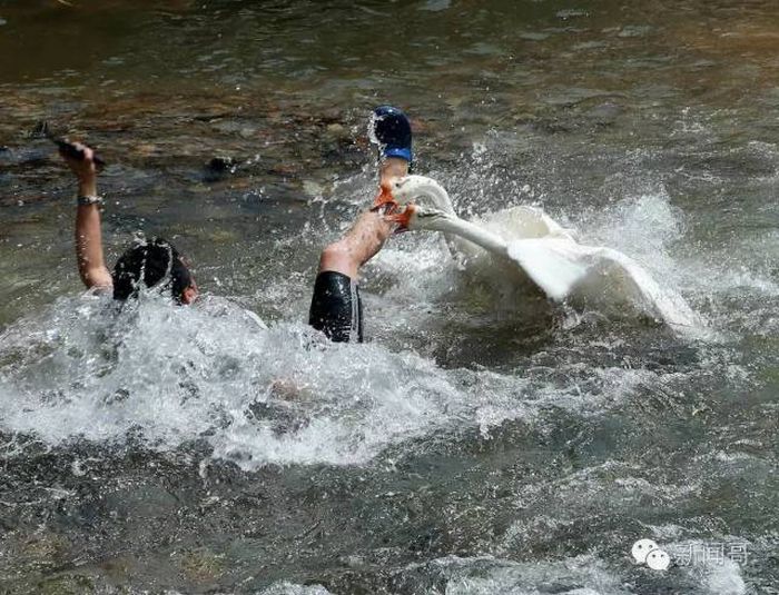 Unfortunate Situations (25 pics)
