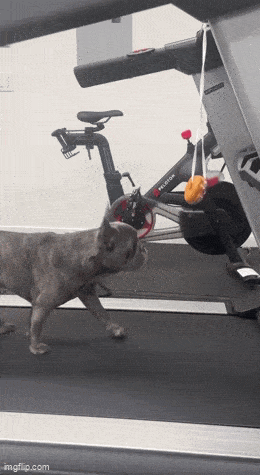 Acid GIFs, May 15 (25 gifs) Acid GIFs, May 15 (25 gifs)