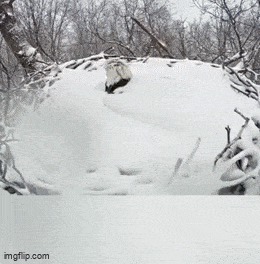 Acid GIFs, May 15 (25 gifs) Acid GIFs, May 15 (25 gifs)