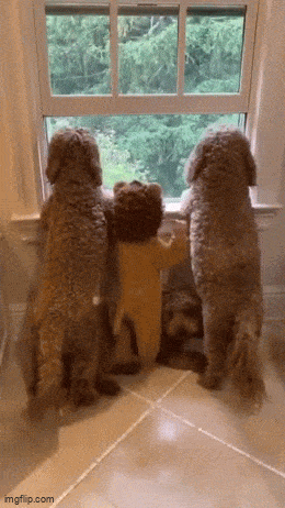 Acid GIFs, May 15 (25 gifs) Acid GIFs, May 15 (25 gifs)