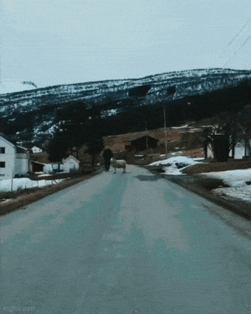 Acid GIFs, May 15 (25 gifs) Acid GIFs, May 15 (25 gifs)